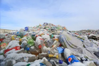 Фото: Руслан Пряников