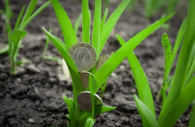 Минсельхоз может освободить переработчиков от уплаты НДС