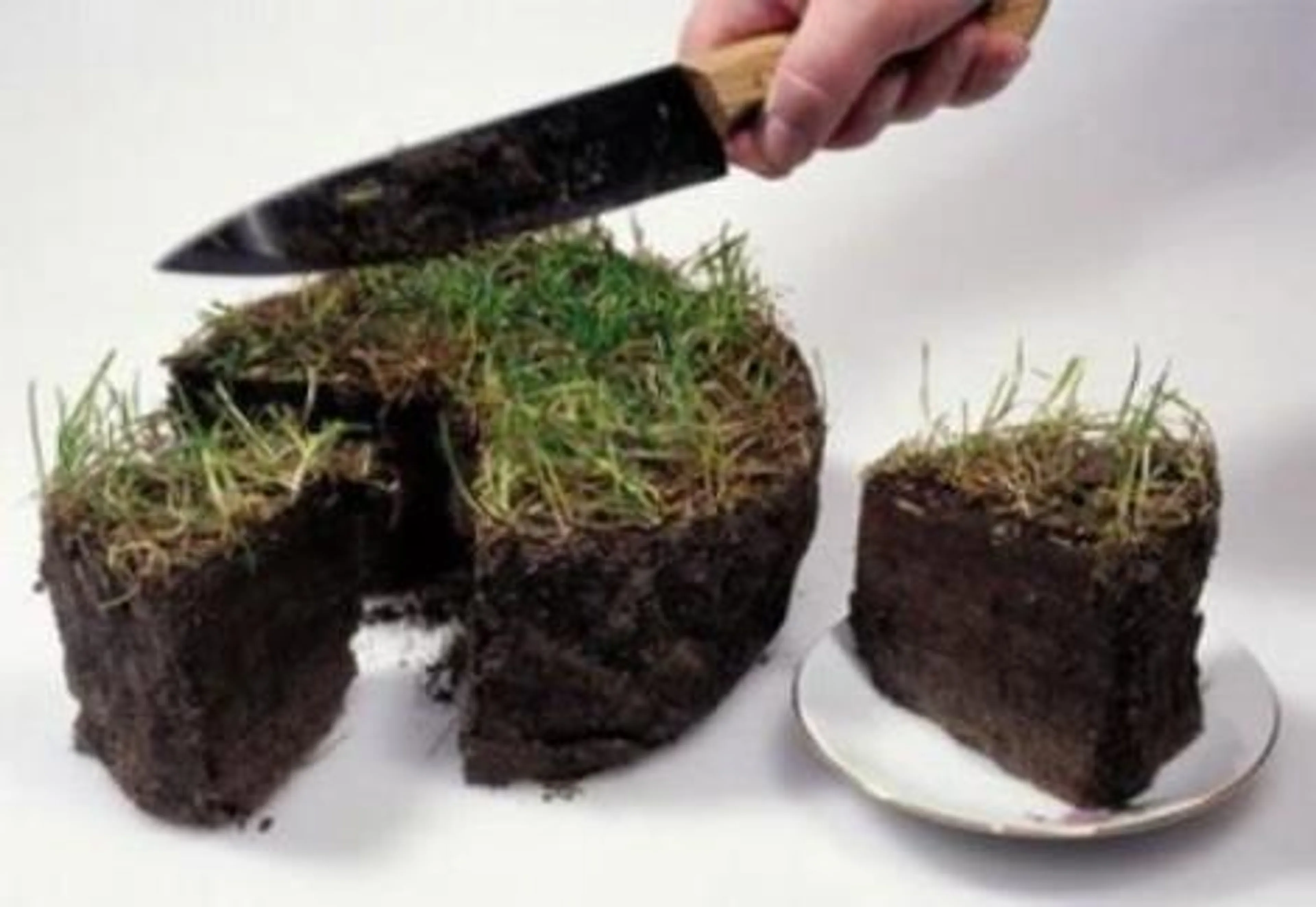 Капитал - Земля под жилье подешевела в  Алматинской области