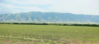 Фото: Руслан Пряников