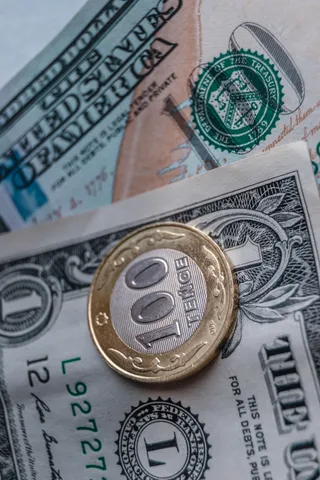 Фото: Валерия Змейкова