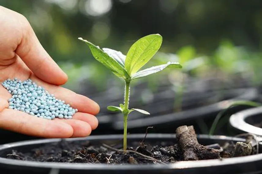 Капитал - В Казахстане — бездонный рынок минеральных удобрений