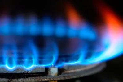 ЕС не сможет отказаться от российского газа