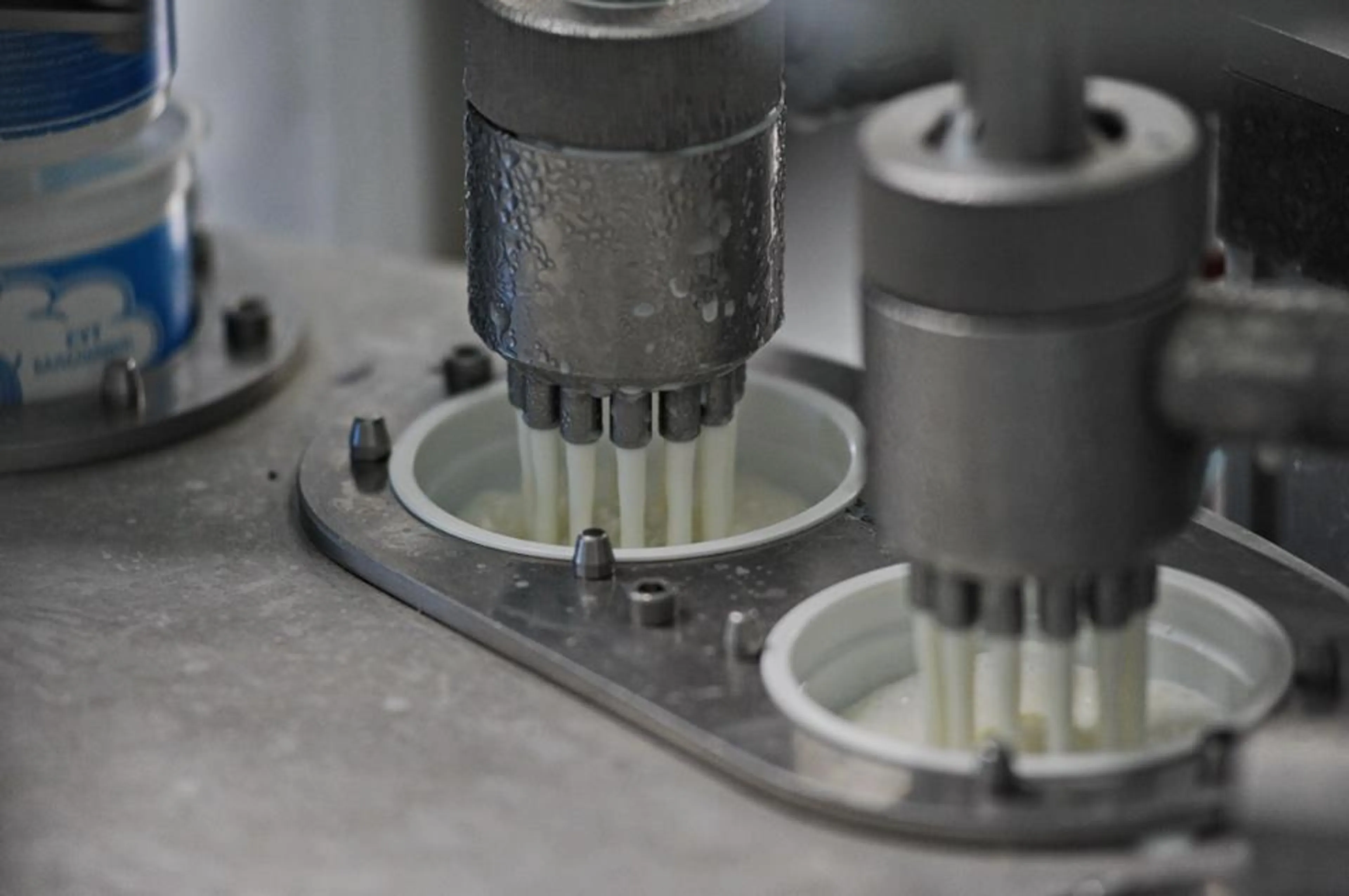 Капитал - Отечественные производители перекрывают 83% спроса на молочку