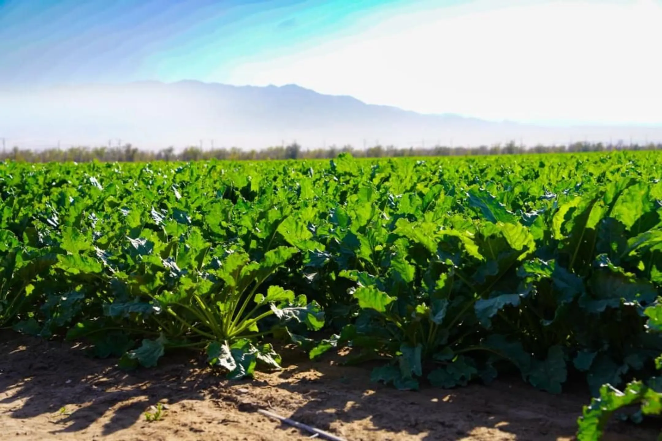 Изображение Kapital.kz