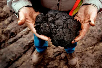 Латинская Америка и РФ - будущие лидеры по сланцевой нефти