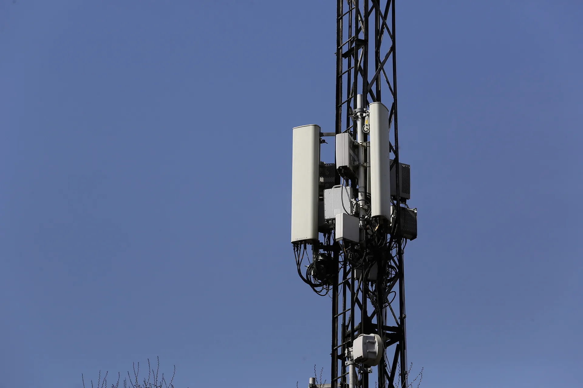 Фото: Руслан Пряников