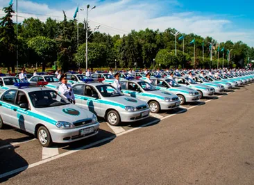 95 «Шансов» для ДВД