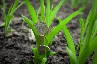 Капитал - Земли сельхозназначения иностранцам передаваться не будут