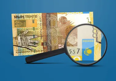 Казахстан не готов к всеобщему декларированию