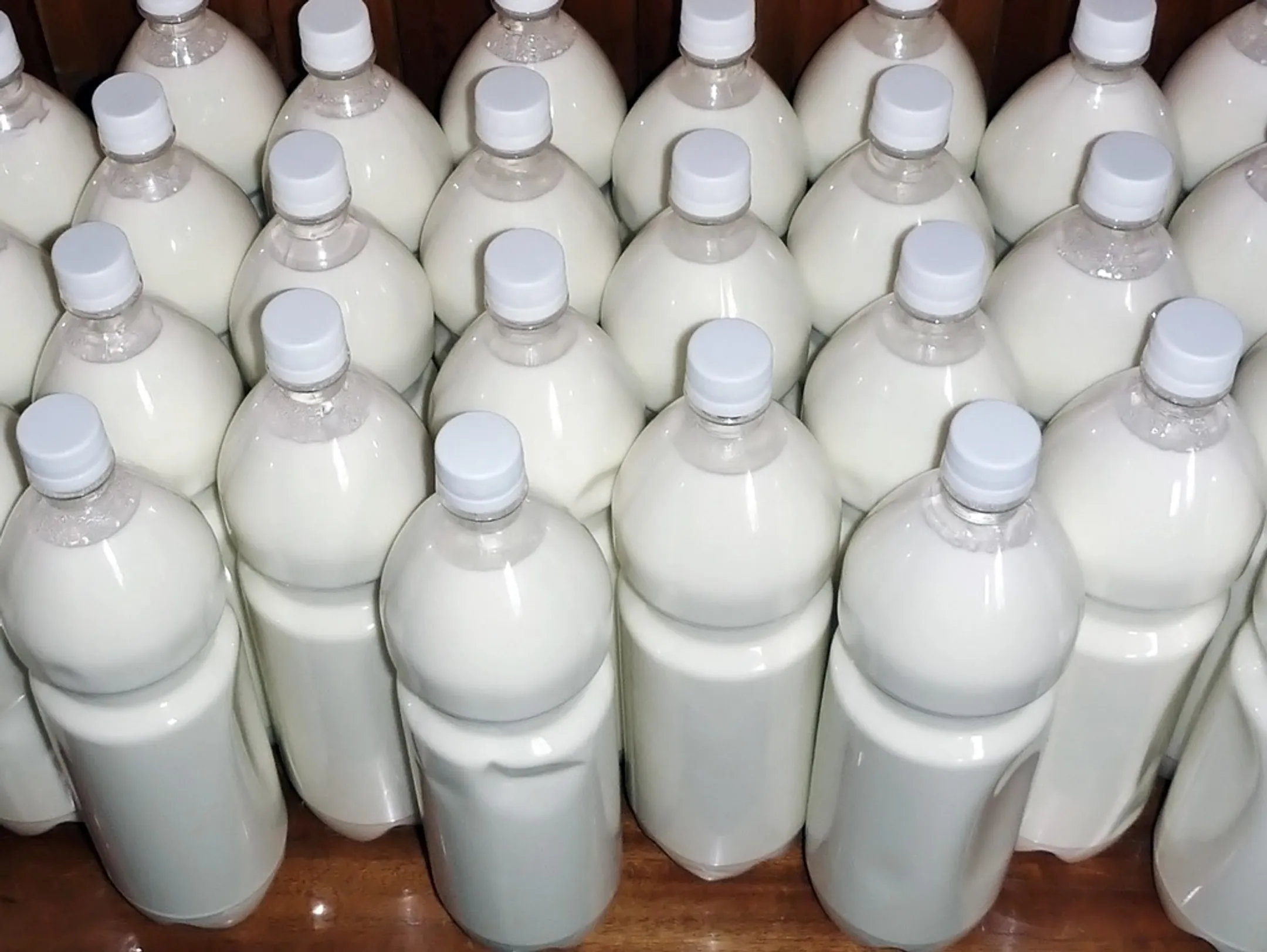 Казахстан и Кыргызстан не договорились о ввозе молока - Image Kapital.kz