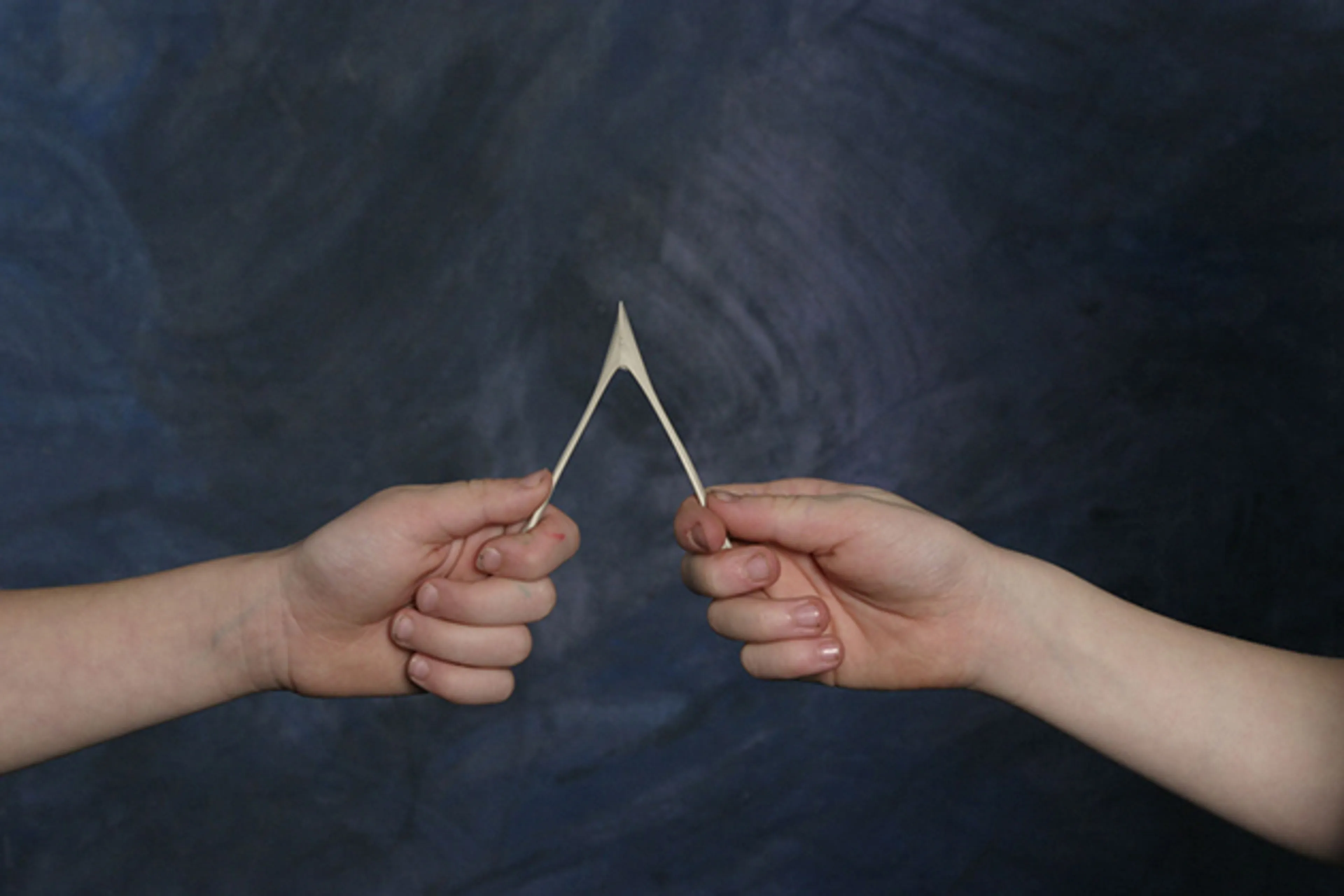 Капитал - Самые необычные ниши для бизнеса