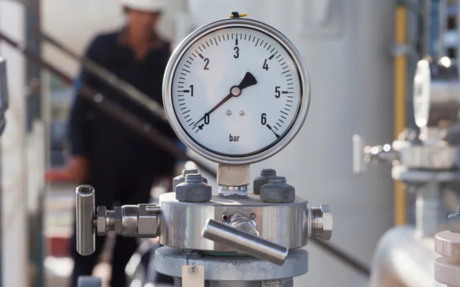 Фото: Shutterstock