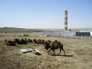 Капитал - Фермерам Мангистауской области выделят субсидии на 60 млн тенге