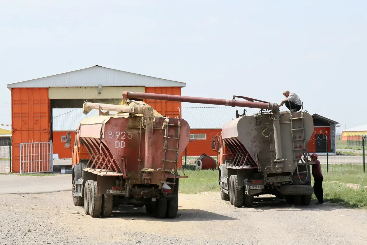 В электронной системе счетов-фактур для социального дизтоплива создали отдельный склад