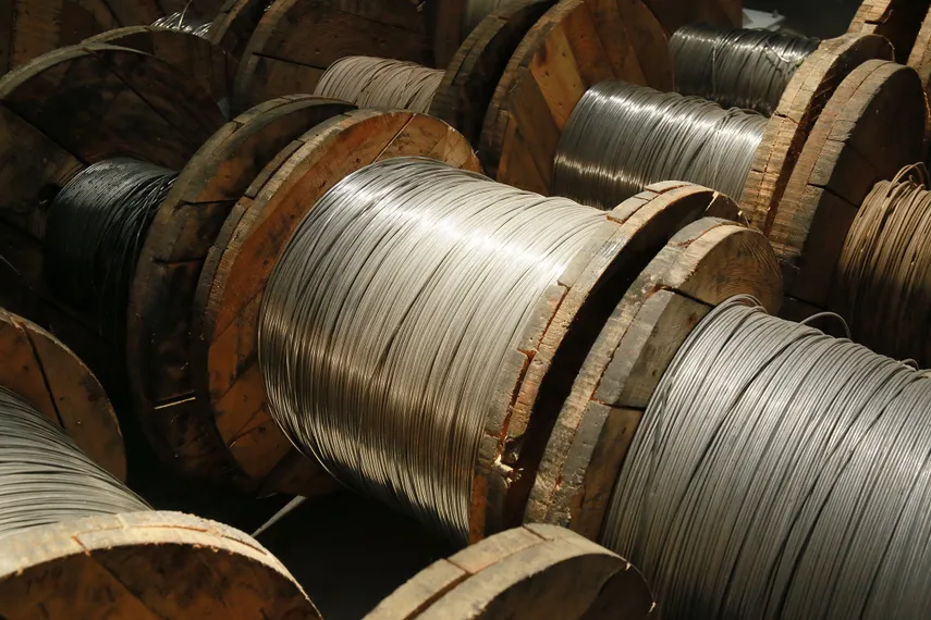 Фото: Руслан Пряников