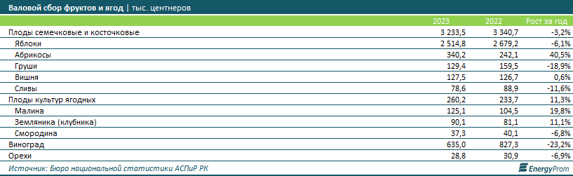 Цены на фрукты в Казахстане - одни из самых высоких в СНГ 2903312 - Kapital.kz 