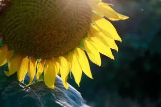 Фото: Руслан Пряников