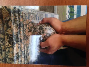 На улицах Астаны установят больше камер