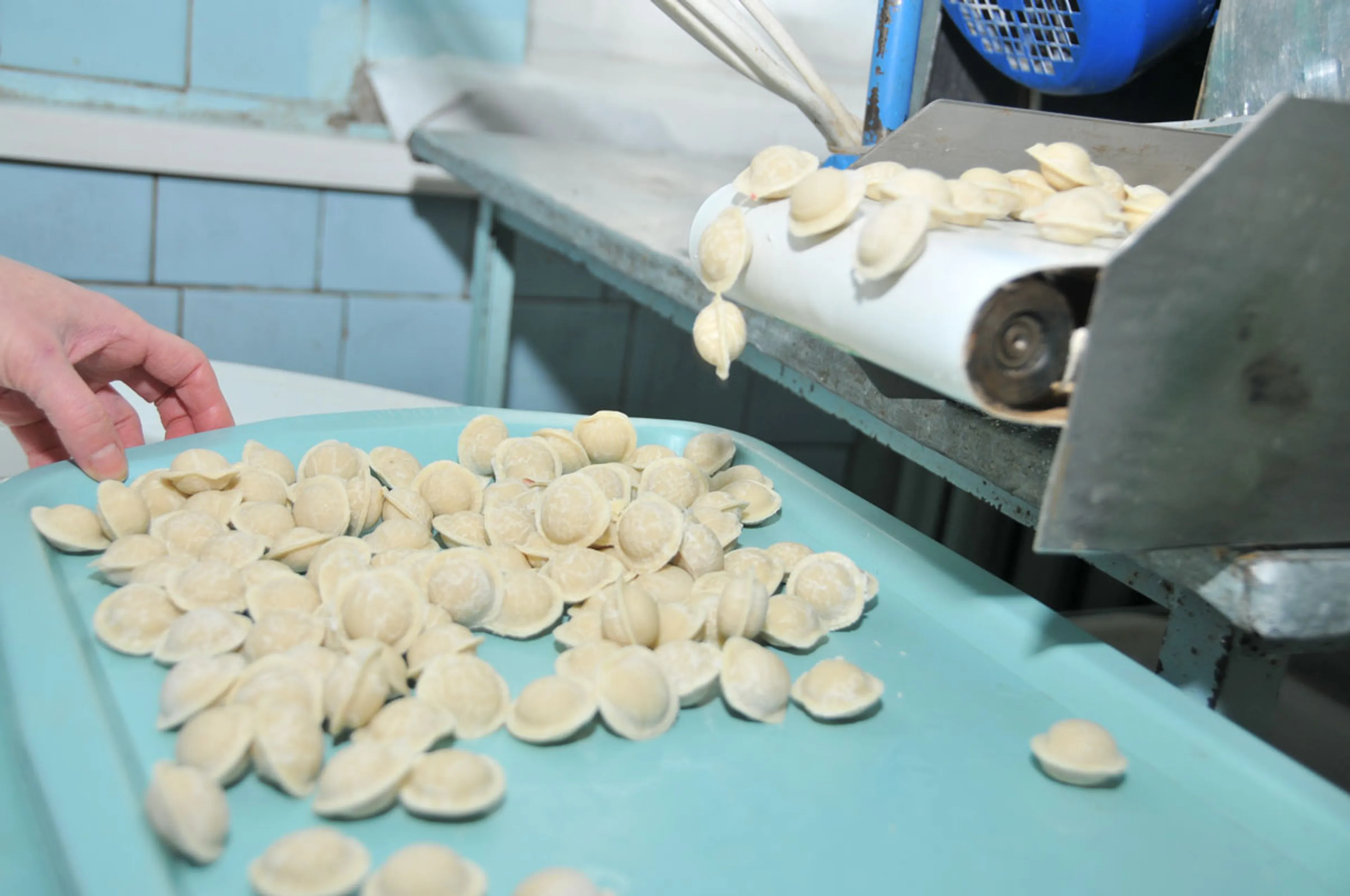 Капитал - Количество зарегистрированных ИП выросло на 12%