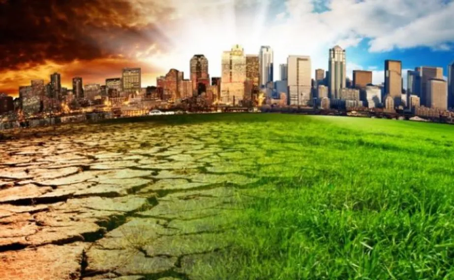 Капитал - Компании США начали отказываться от закупок сырья в Бразилии