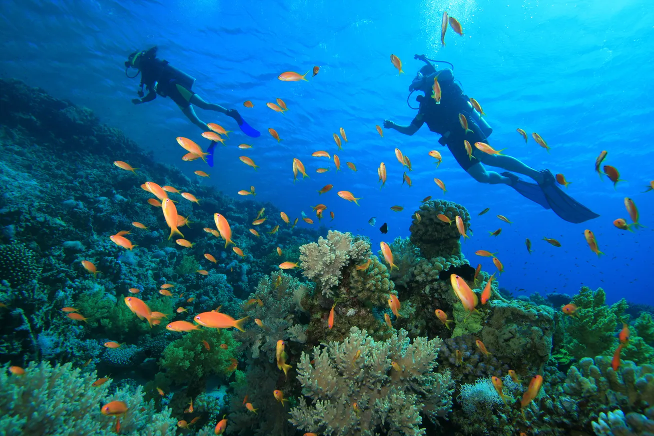 Пять причин поехать в Египет - фото kapital.kz