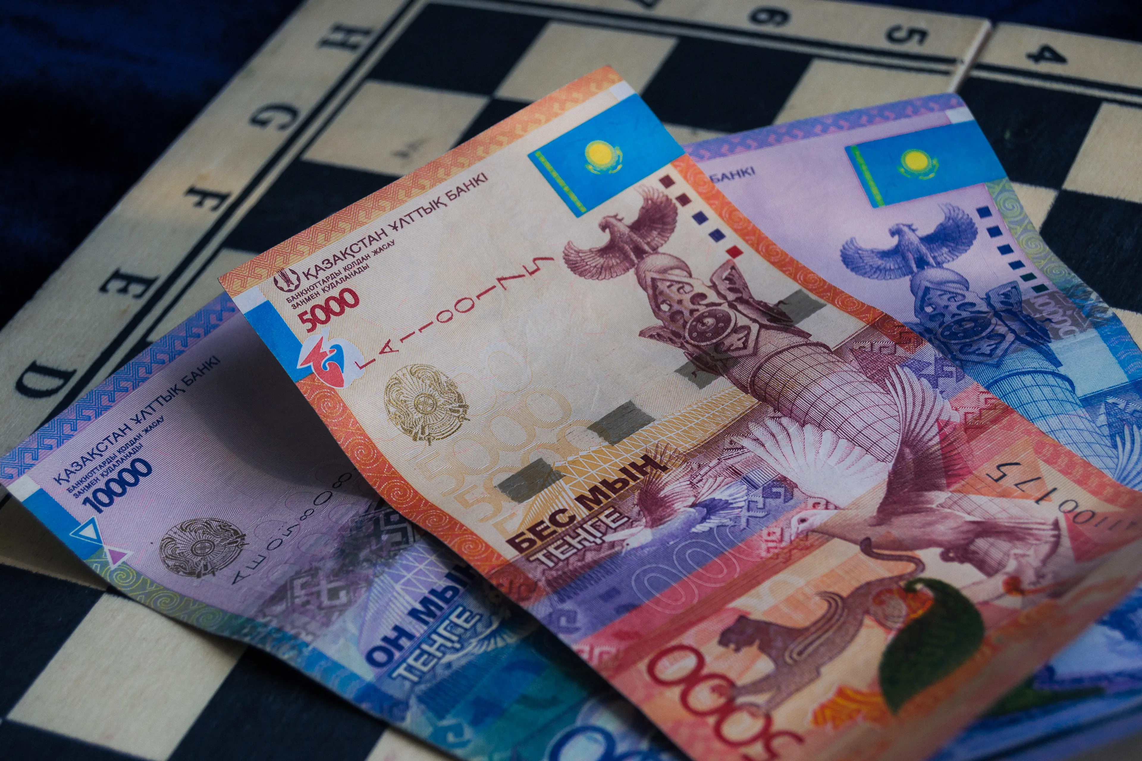 Фото: Валерия Змейкова