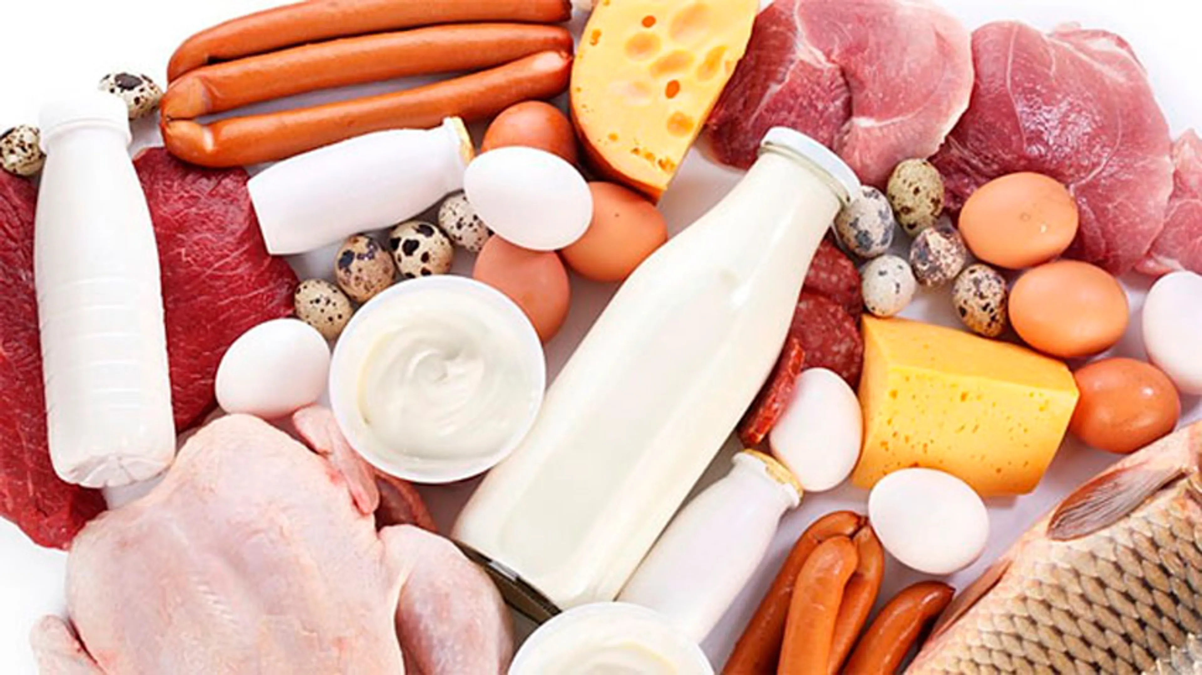 Капитал - Казахстан обсуждает экспорт продукции животноводства в Израиль