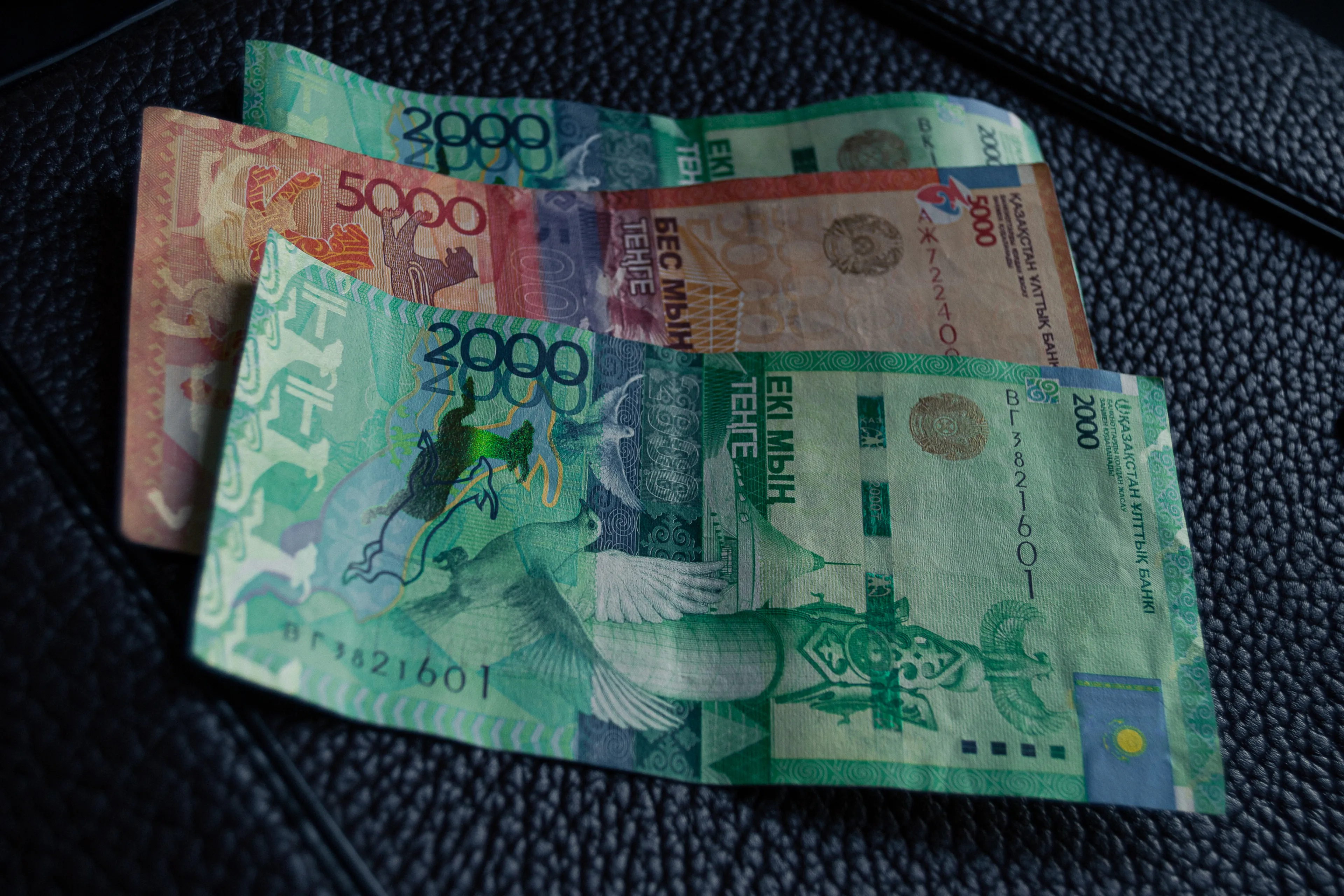 Фото: Валерия Змейкова