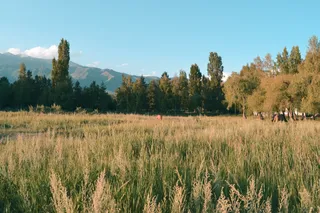 Фотограф: Валерия Змейкова