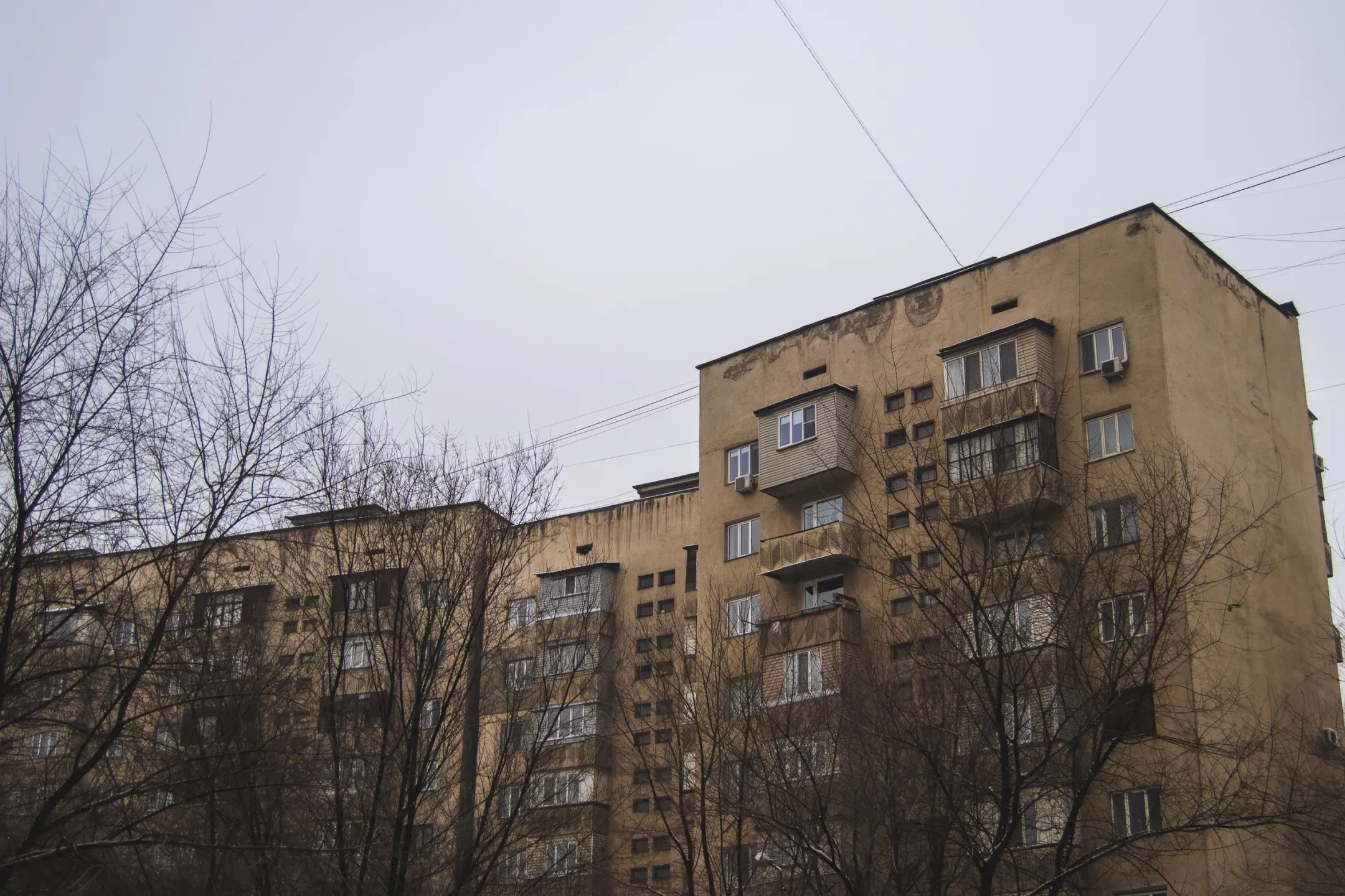 Фото: Валерия Змейкова 