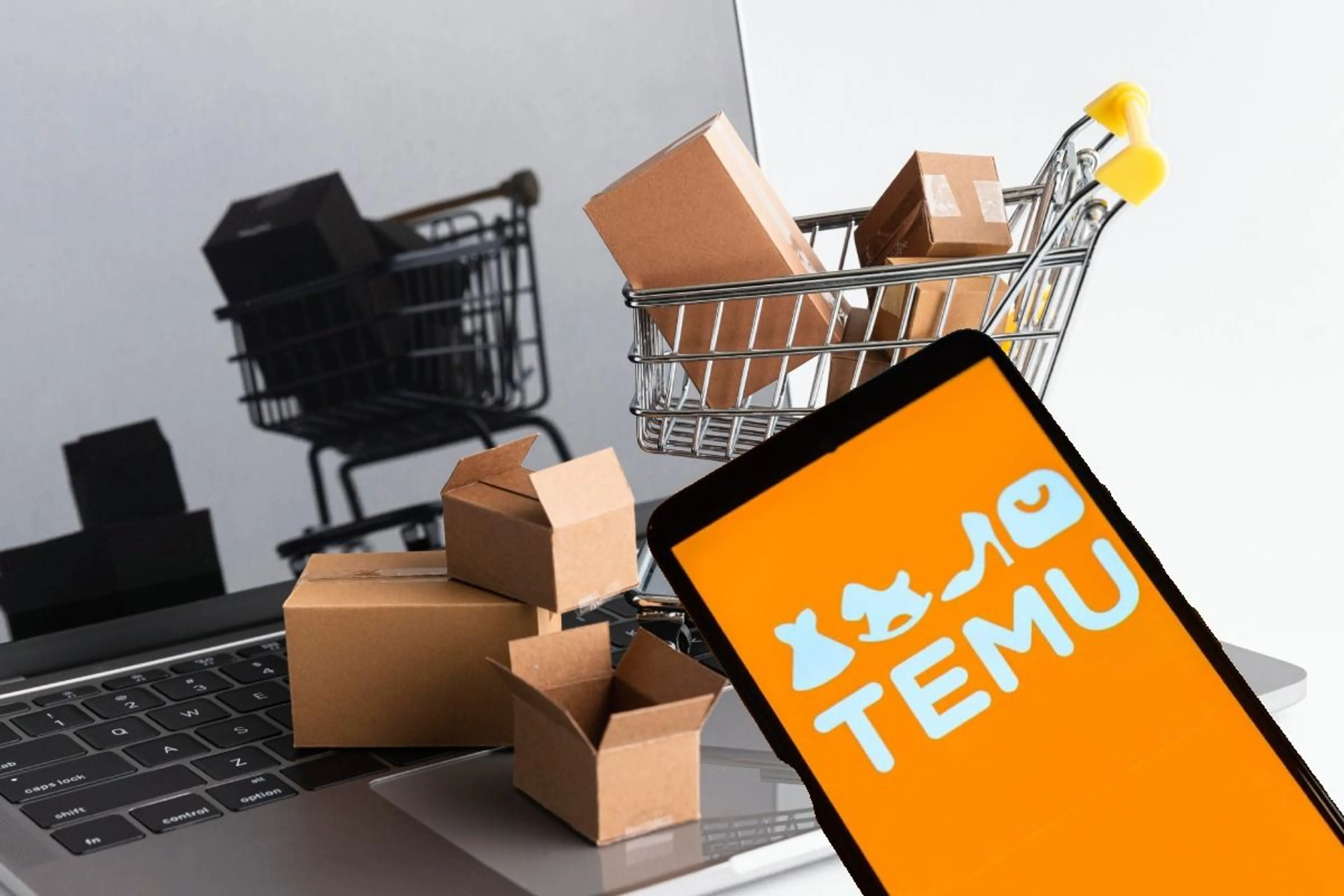 Капитал - Американцы массово подают в суд на Temu