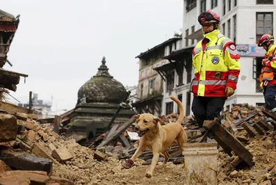 В Непале количество погибших превысило 5,5 тыс. человек