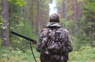 Капитал - Трофейную охоту для иностранцев организовали в Северном Казахстане