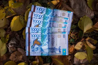 Капитал - Жители Алматинской области хранят в банках почти 56 млрд тенге