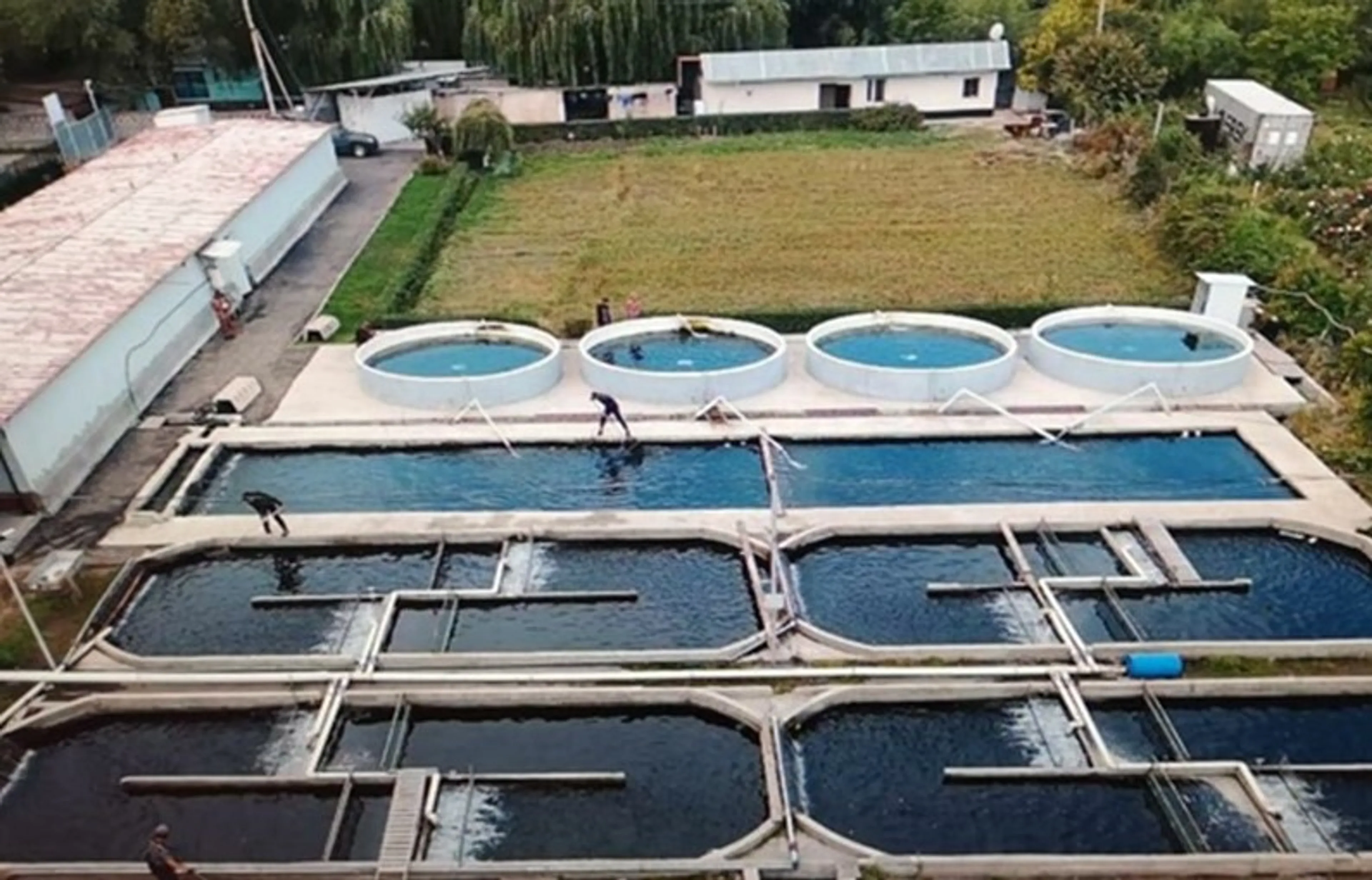 Капитал - В Алматинской области обучают основам рыбоводства