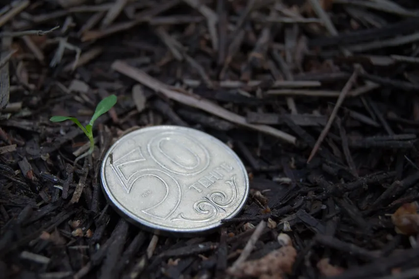 Капитал - Разработана Дорожная карта по изъятию неиспользуемых земель