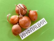 Фото: Валерия Змейкова