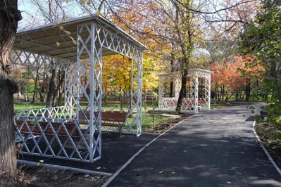 Фото: акимат Алматы