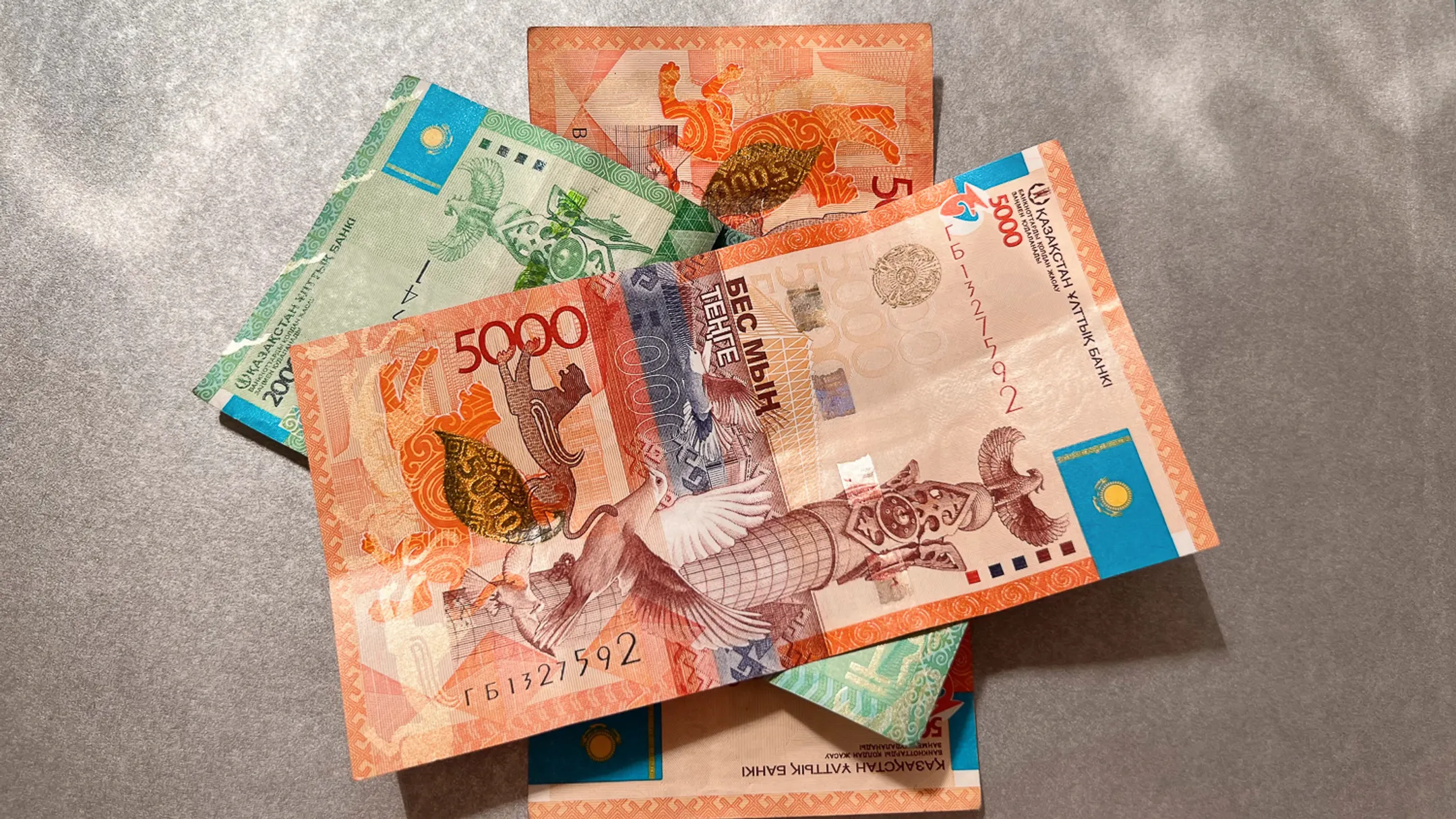 Фото: Валерия Змейкова