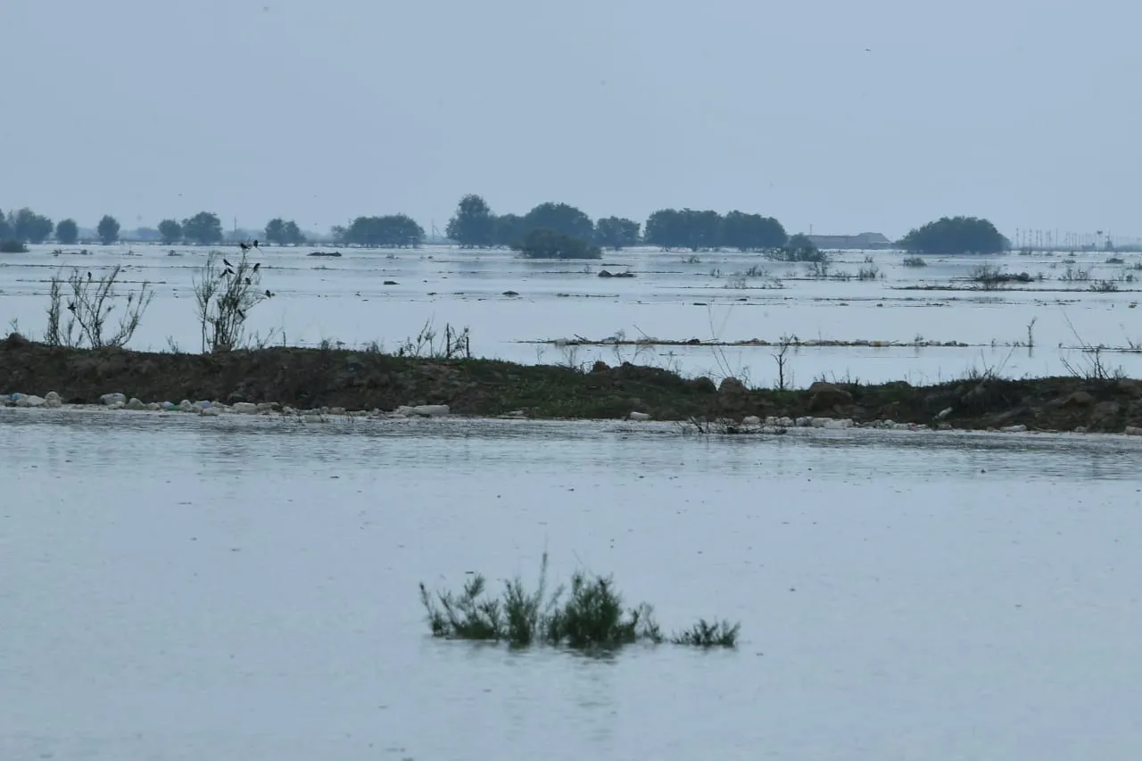Создана комиссия по ликвидации последствий подтопления в Туркестанской области