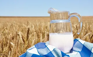 Капитал - Грустный молочник