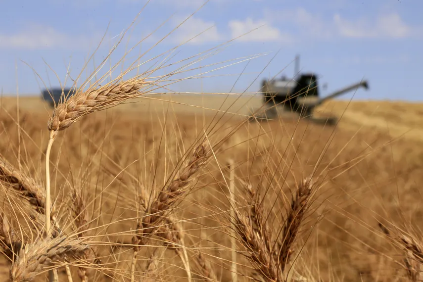 фото: Руслан Пряников