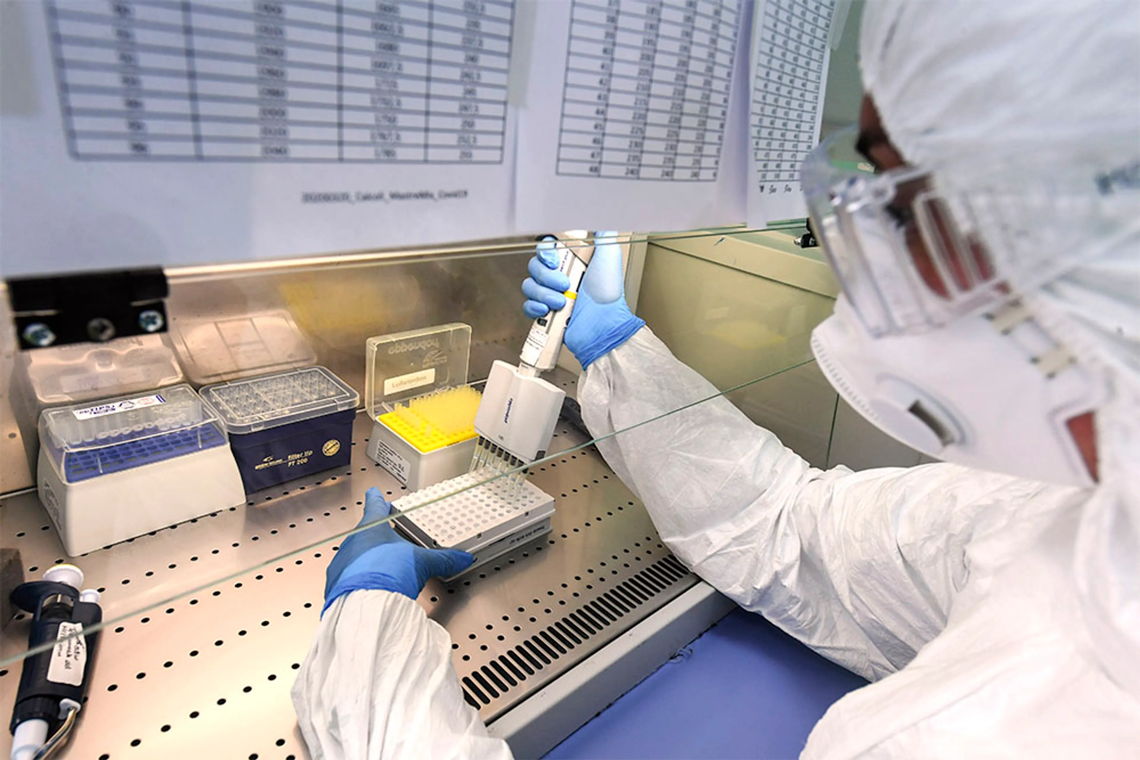 Капитал - Европейские ученые сообщили о новом варианте коронавируса