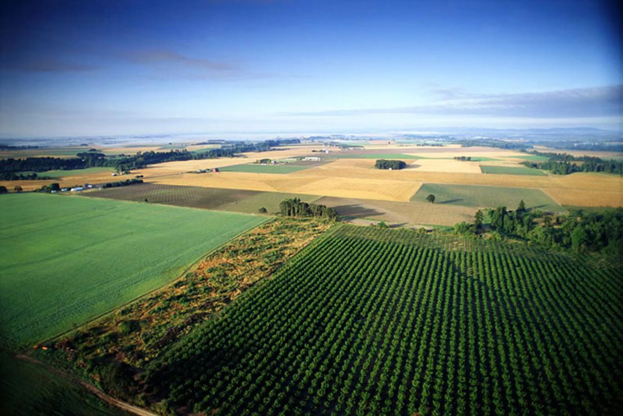 В РК не используется более 3 млн га сельхозугодий - Image Kapital.kz