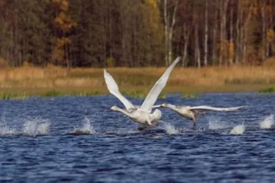 В РК создают еще один Национальный природный парк
