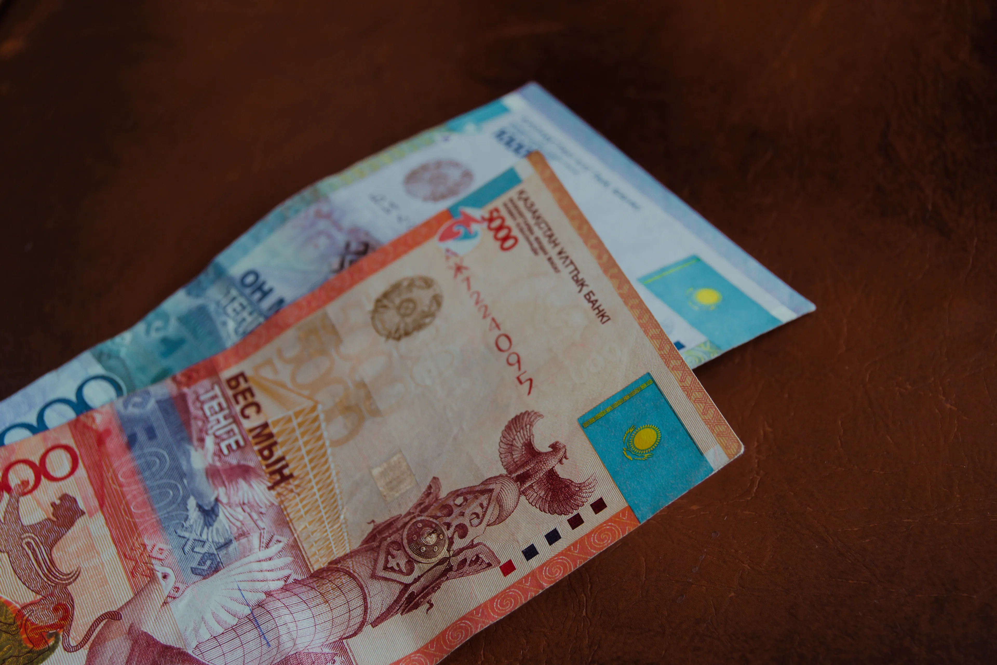 Фото: Валерия Змейкова