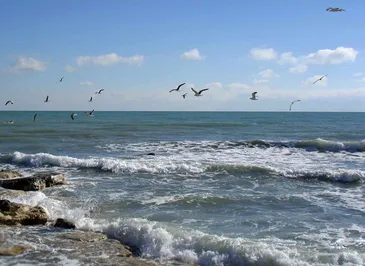 Каспий должен стать нашим Средиземноморьем