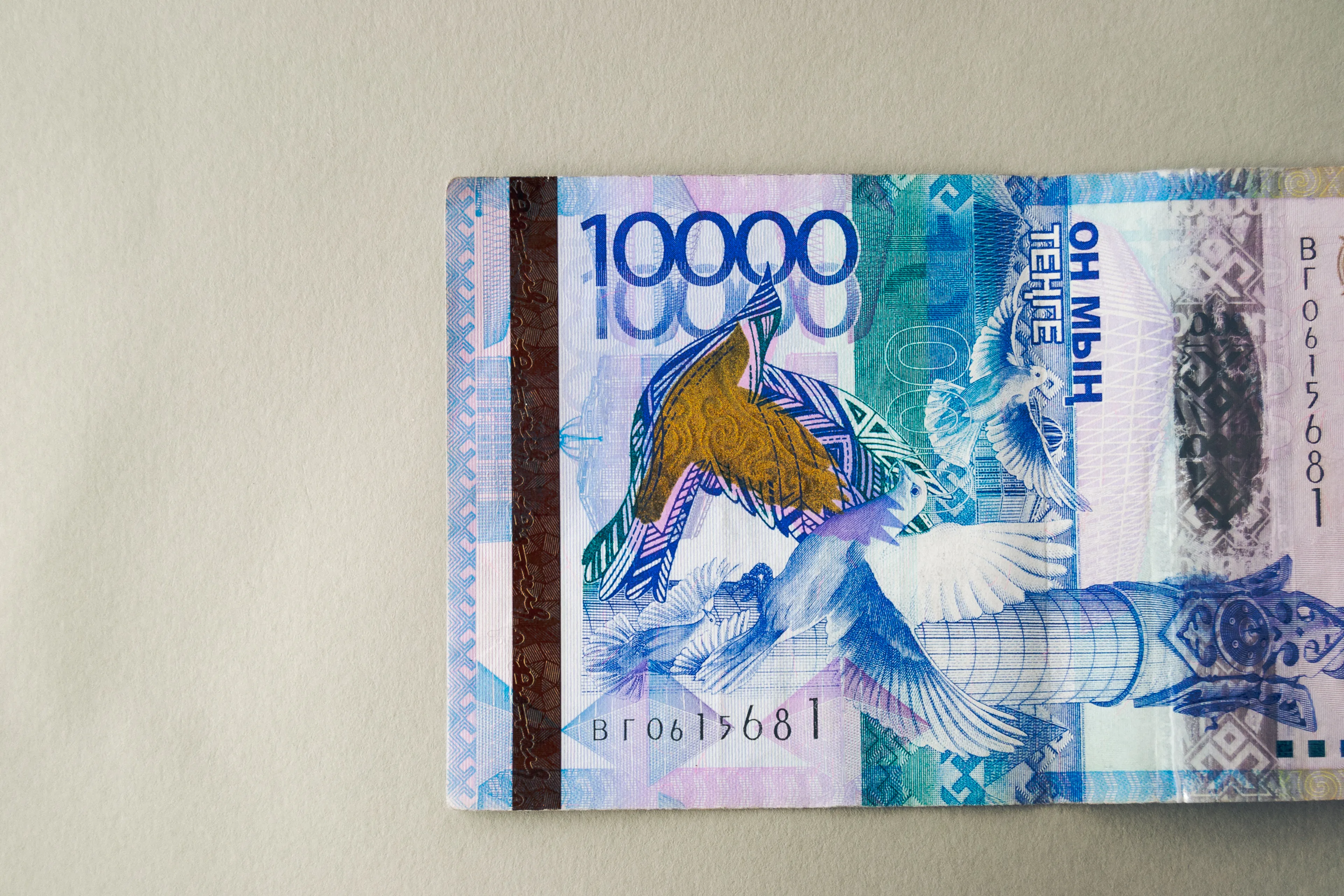 Фото: Валерия Змейкова