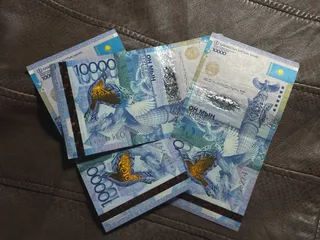 Фото: Валерия Змейкова